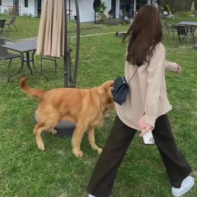 黑白道